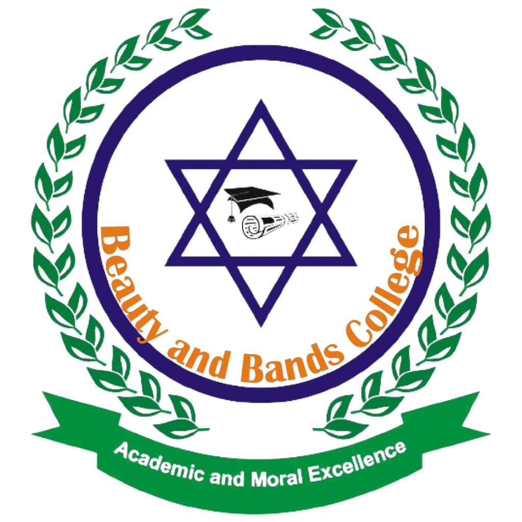 beautyandbands.com.ng